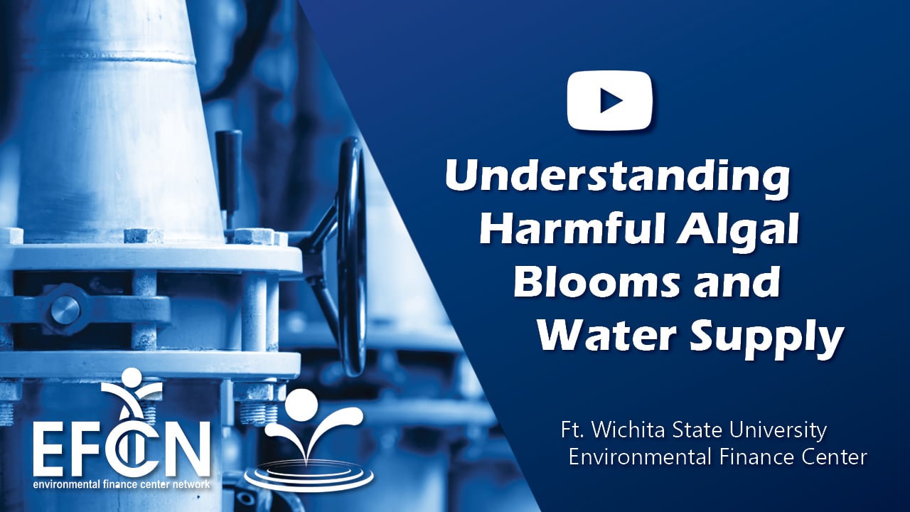 Webinar | Understanding Harmful Algal Blooms and Water Supply: A Primer for Municipal and Water Utility Staff