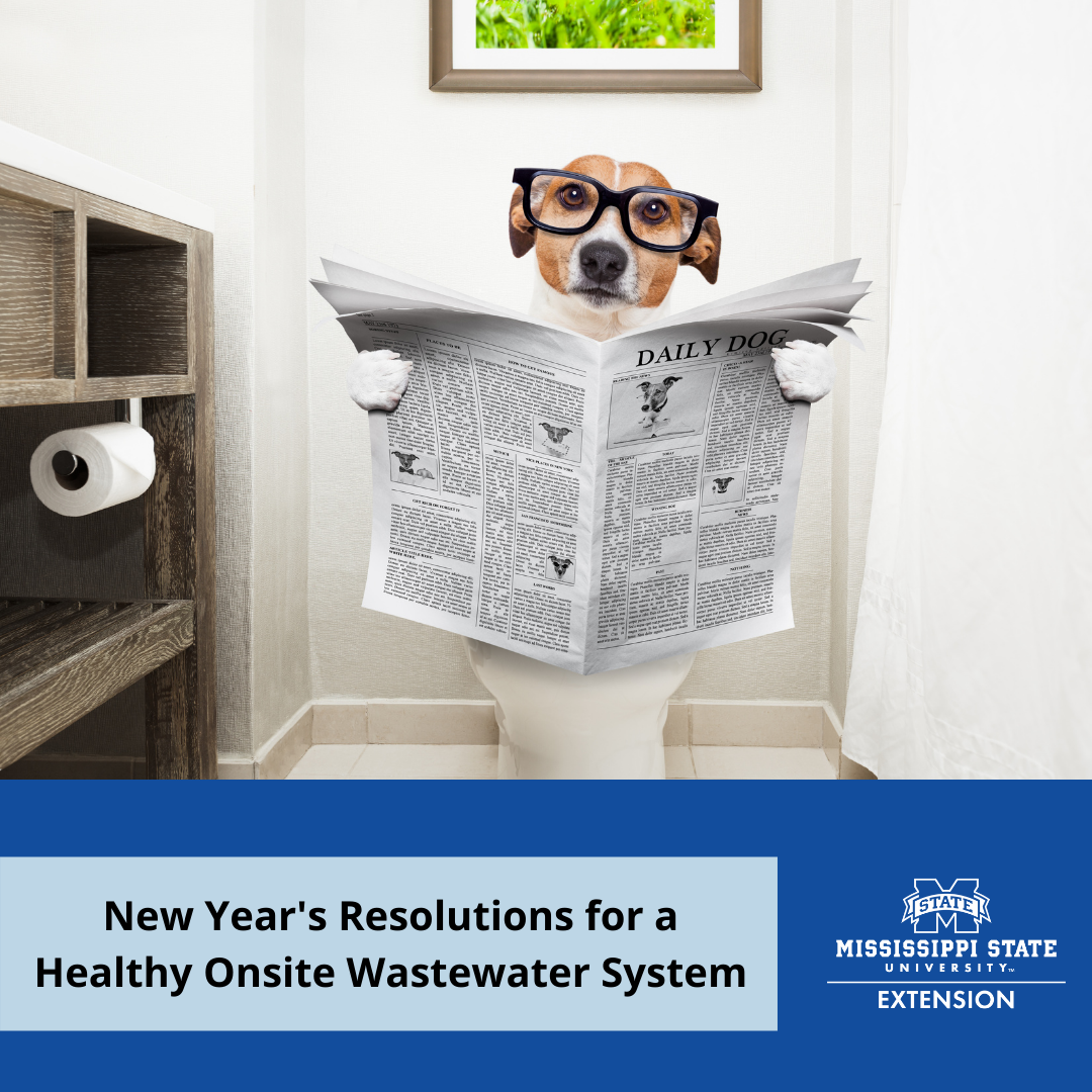 New Year’s Resolutions for a Healthy Onsite Wastewater System