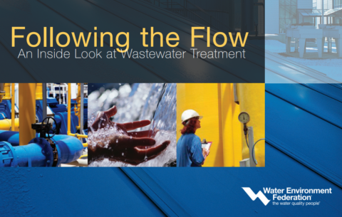 Following the Flow: An Inside Look at Wastewater Treatment ...