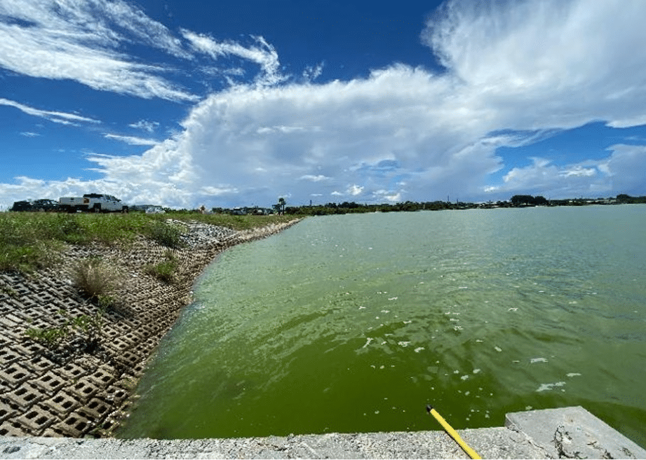 Seasonal Challenges, Smart Solutions: Summer Operation of Wastewater Lagoons 