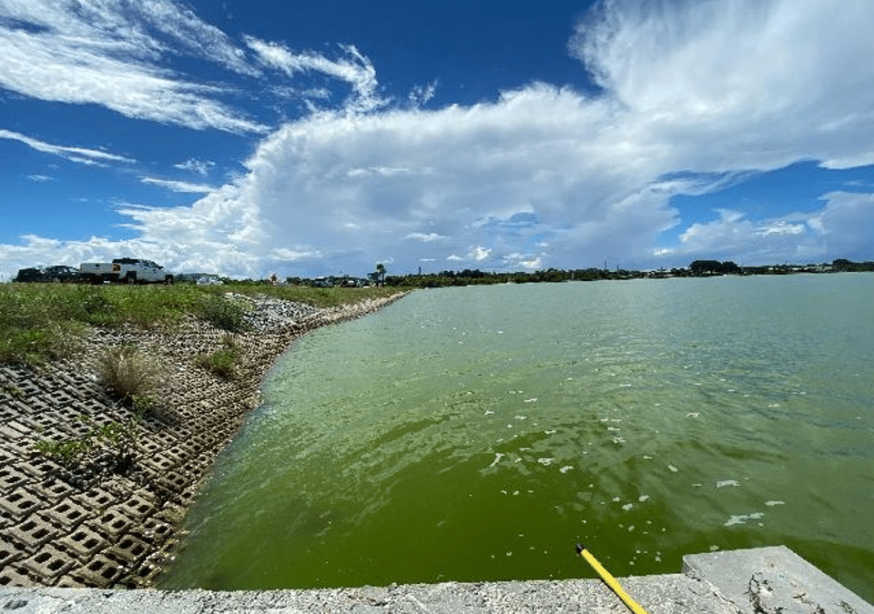 Understanding BOD: Getting the Most from Your Wastewater Lagoon
