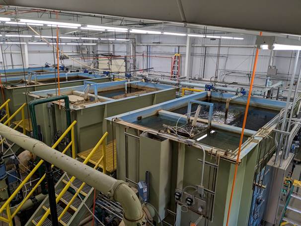 Systematic Troubleshooting in Action: Chemical Feed Pump Drawdown Test